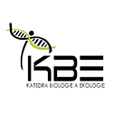kbe_logo